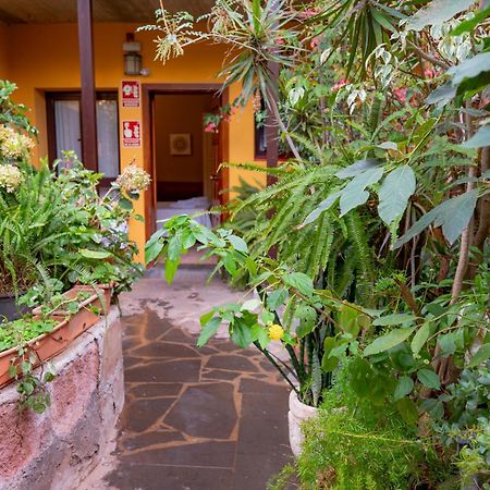 Gasthaus La Asomada Del Gato San Cristóbal de La Laguna Exterior foto
