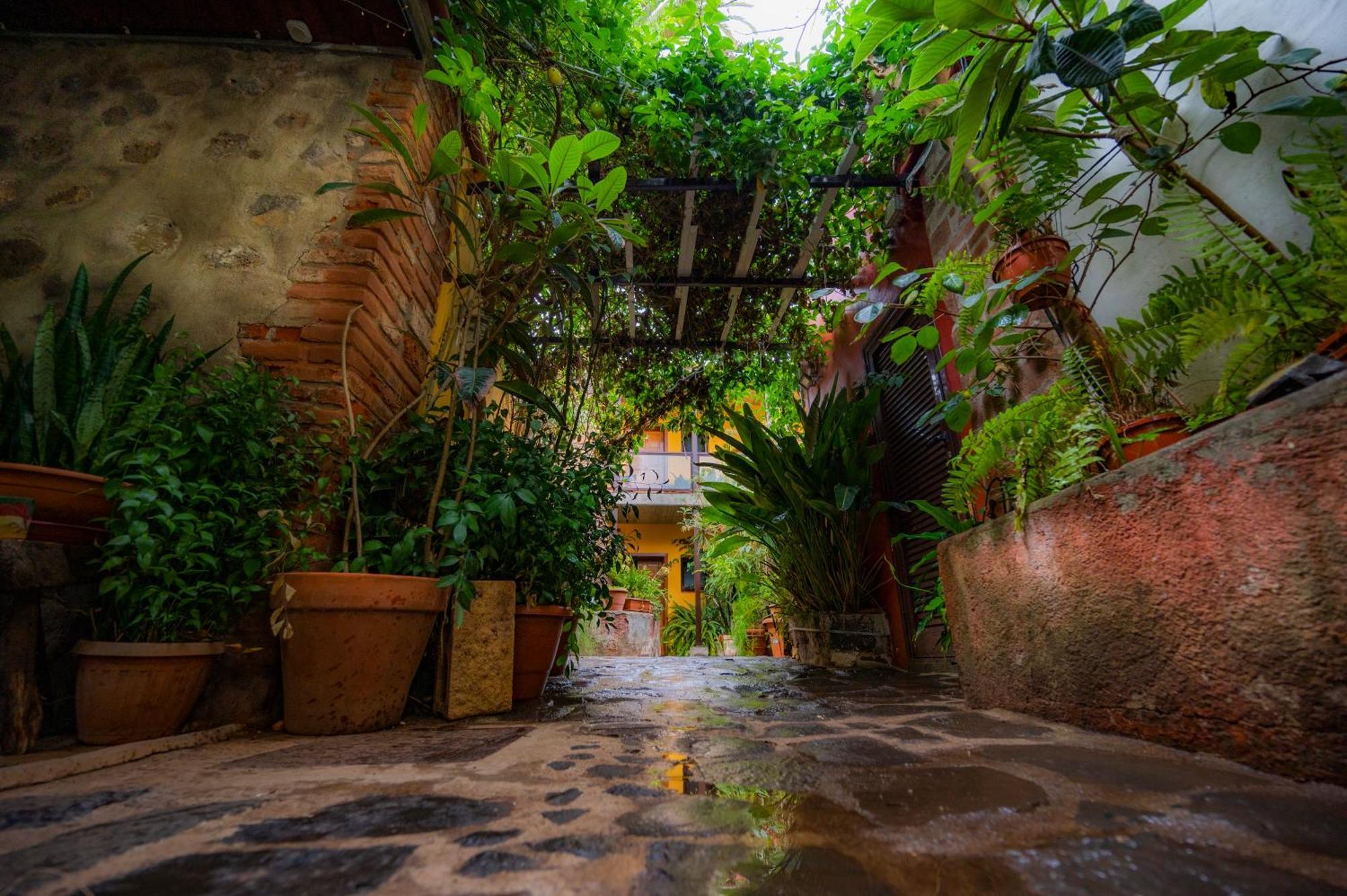 Gasthaus La Asomada Del Gato San Cristóbal de La Laguna Exterior foto