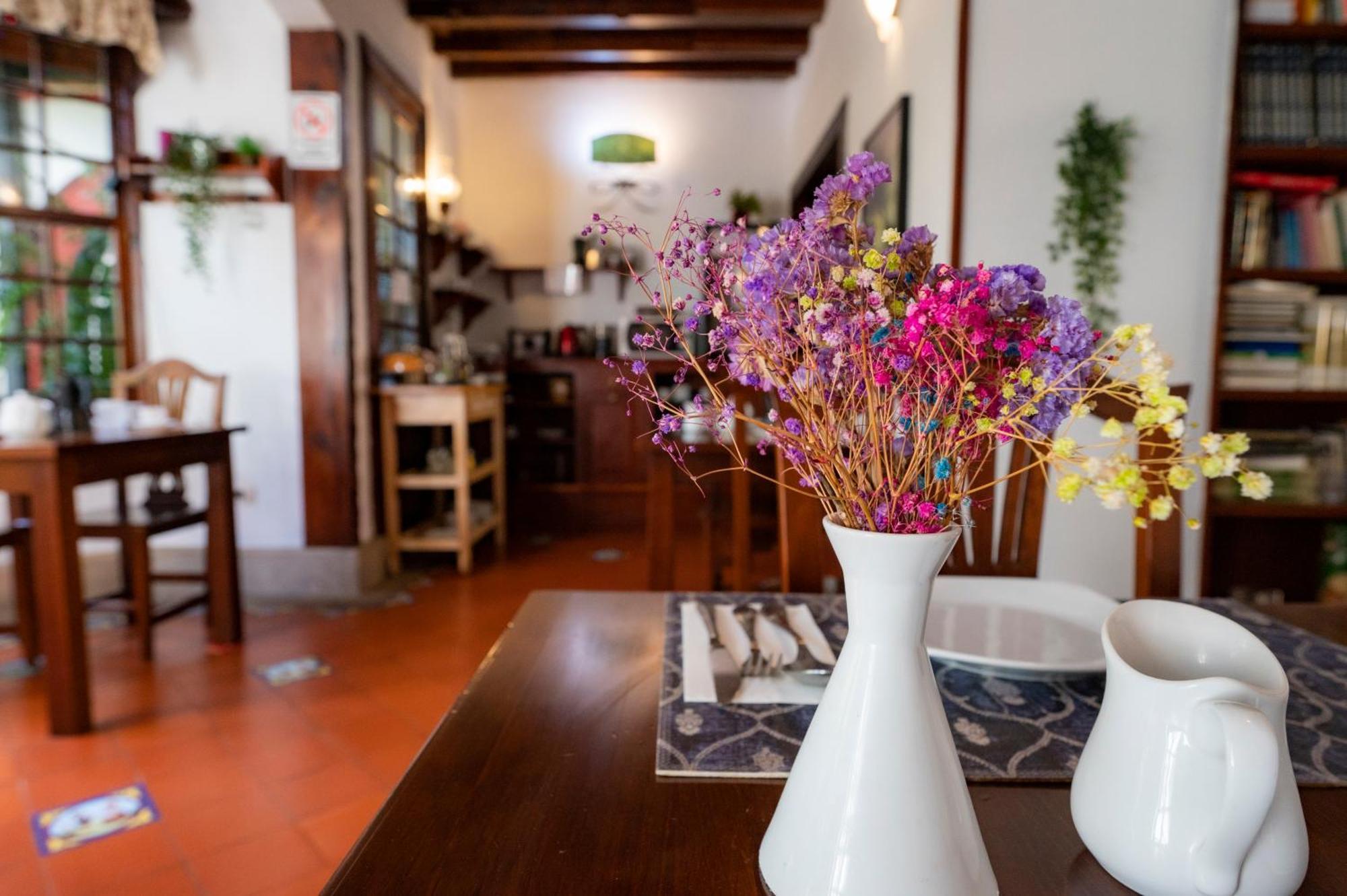 Gasthaus La Asomada Del Gato San Cristóbal de La Laguna Exterior foto