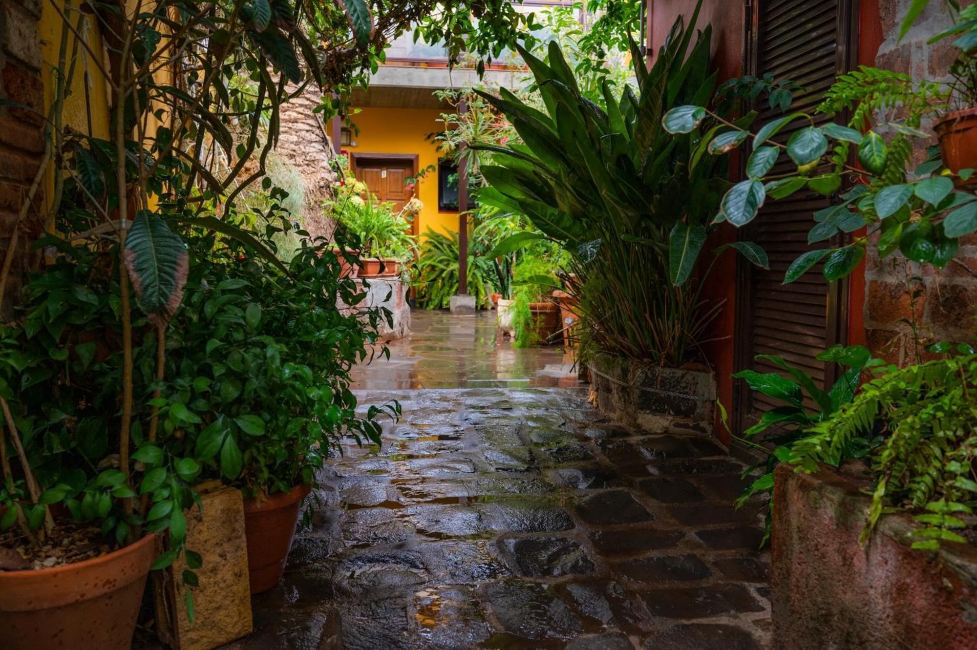 Gasthaus La Asomada Del Gato San Cristóbal de La Laguna Exterior foto